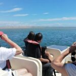 Faro: Ria Formosa Eco Birdwatching Boat Tour - The Bottom Line