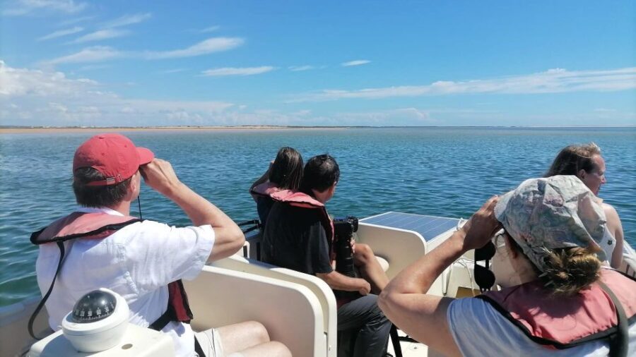 Faro: Ria Formosa Eco Birdwatching Boat Tour - The Bottom Line