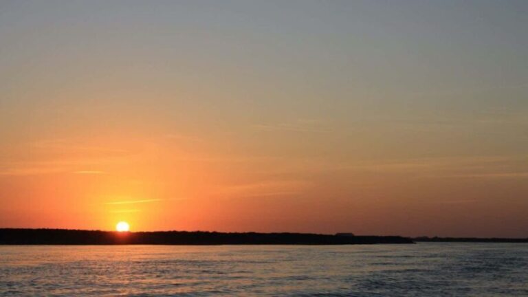 Faro: Ria Formosa Guided Sunset Tour by Catamaran - Analyzing the Value