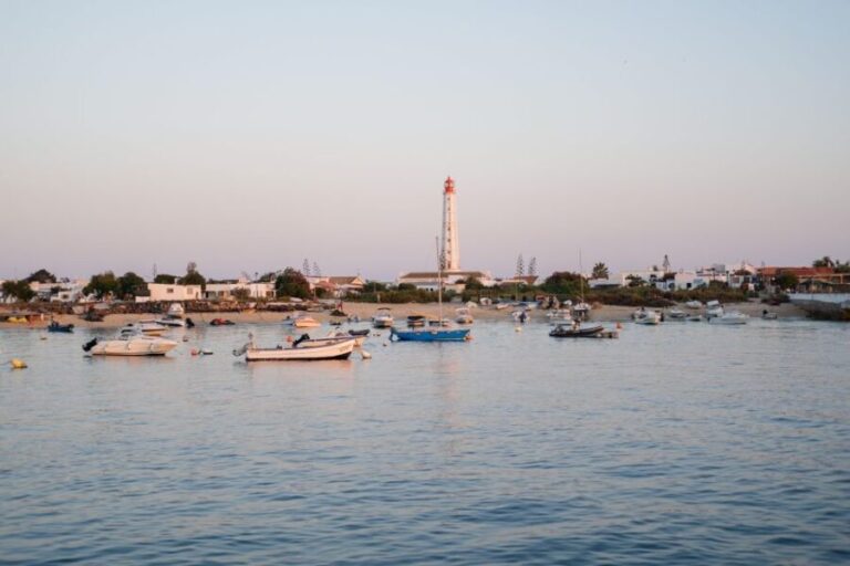 Faro: Ria Formosa Sunset Boat Tour - A Closer Look at the Itinerary