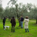 Fasano: Olive Oil Tour With Tasting and Food Pairing - Exploring the Heart of Apulia’s Olive Oil Culture