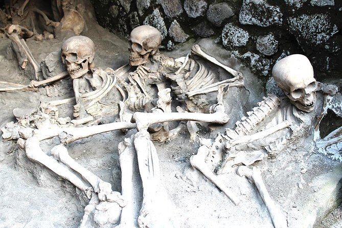 Fast Access Exclusive Private Ancient Pompeii Herculaneum & Oplontis Guided Tour - The Practicalities & Value