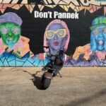 Fat Tire 2 Seater Rental in Dallas - What You Can Expect During Your Ride