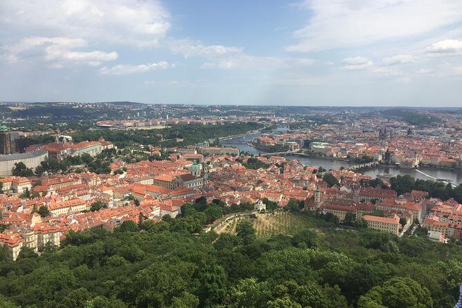 FAT TIRE E-BIKE GREAT TOUR - river, parks & panoramic views tour - The Sum Up