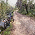 Fátima: E-Bike Tour to Dinosaur Footprints Natural Monument - A Deep Dive into the Experience