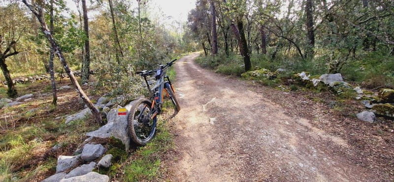 Fátima: E-Bike Tour to Dinosaur Footprints Natural Monument - A Deep Dive into the Experience