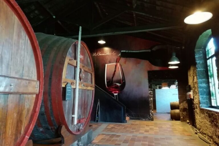 Fátima: Private Porto Tour - Why This Tour Offers Great Value