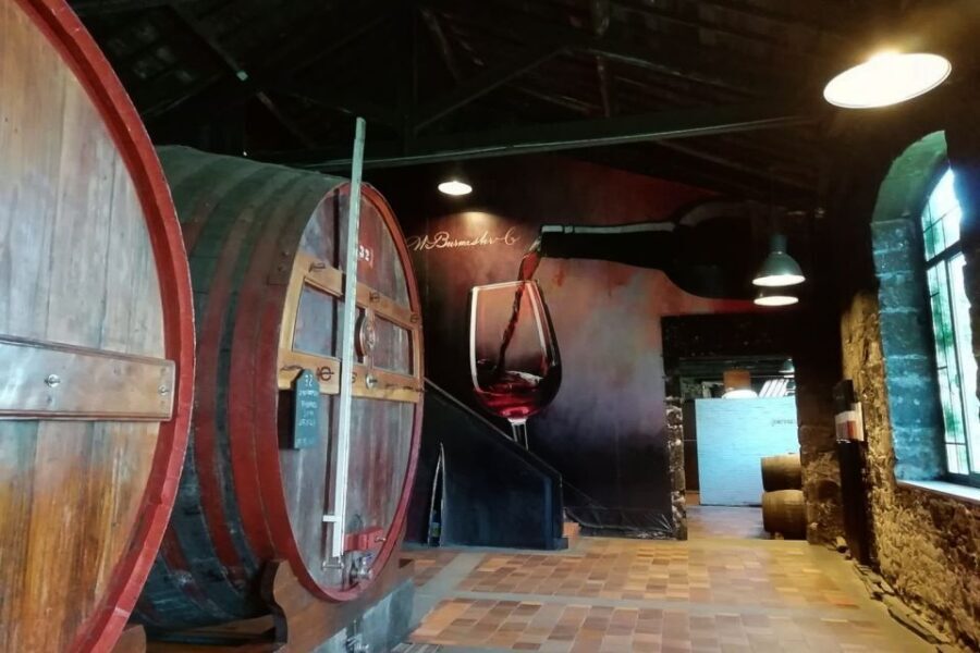 Fátima: Private Porto Tour - Why This Tour Offers Great Value