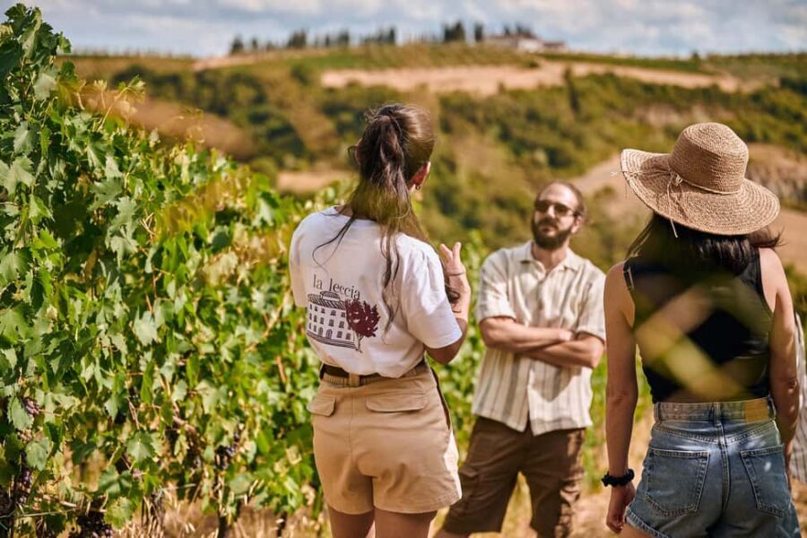 Fattoria La Leccia, Monterspertoli: vineyard walk & tasting