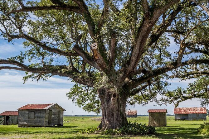 Felicity Plantation Tour - The Sum Up