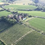 Felsina Culinaria - Personalised Private Cooking Course - A Detailed Breakdown of the Experience