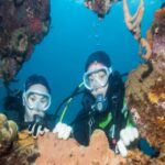 Fethiye: 2 Guided Scuba Dives with Lunch and Hotel Transfers - Practical Considerations and Tips