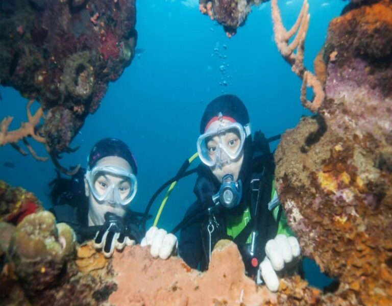 Fethiye: 2 Guided Scuba Dives with Lunch and Hotel Transfers - Practical Considerations and Tips