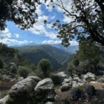 Fethiye: Antalya Old Town Guided Tour with Boat Trip - Who Should Consider This Tour?
