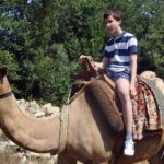 Fethiye Camel Riding at Gosht Town - Why This Tour Offers Great Value