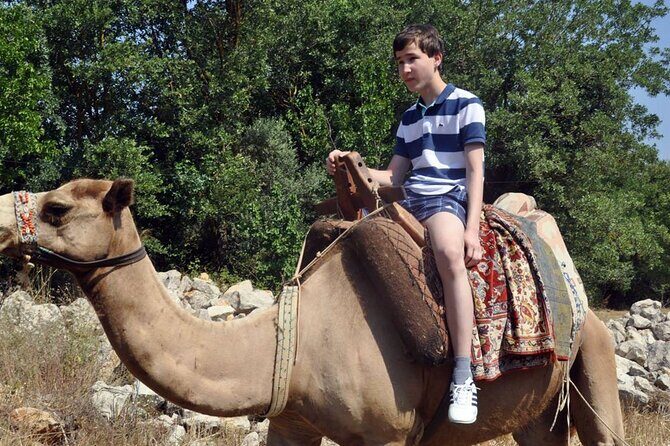 Fethiye Camel Riding at Gosht Town - Why This Tour Offers Great Value