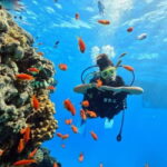 Fethiye: Fly and Dive, Paragliding and Scuba Diving Together, Transfer Included - A Closer Look at the Itinerary