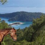 Fethiye Horse Riding Experience - Frequently Asked Questions