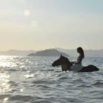 Fethiye Horse Riding in the Sea, Botanical Forest, Beach and Coastal Horseback Riding - Who Will Love This Tour?