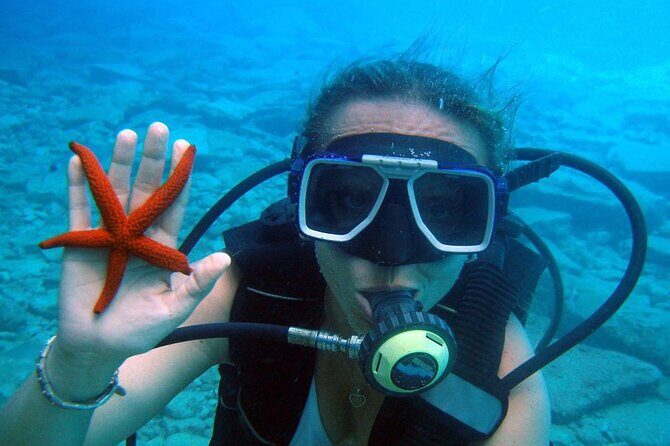 Fethiye Scuba Diving Experience By A Local Expert - Who Will Love This Tour?