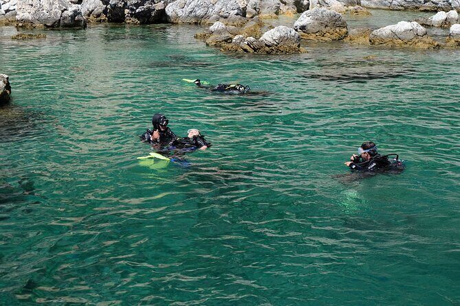 Fethiye Scuba Diving Experience - Final Thoughts: Is This Tour Right for You?