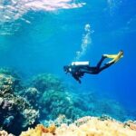 Fethiye Scuba Diving with Transfer, 2 Dives and Lunch - The Sum Up