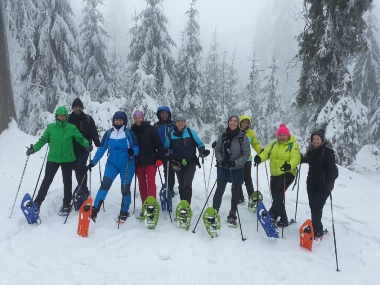 Fichtelgebirge: snowshoe hike - An In-Depth Look at the Snowshoe Hike Experience