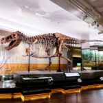 Field Museum Basic Admission Ticket with Tasting Experience - Why This Tour Works for Travelers