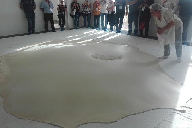 Figueira da Foz by rice paddies and salines, half-day from Coimbra - Practical Tips for the Trip