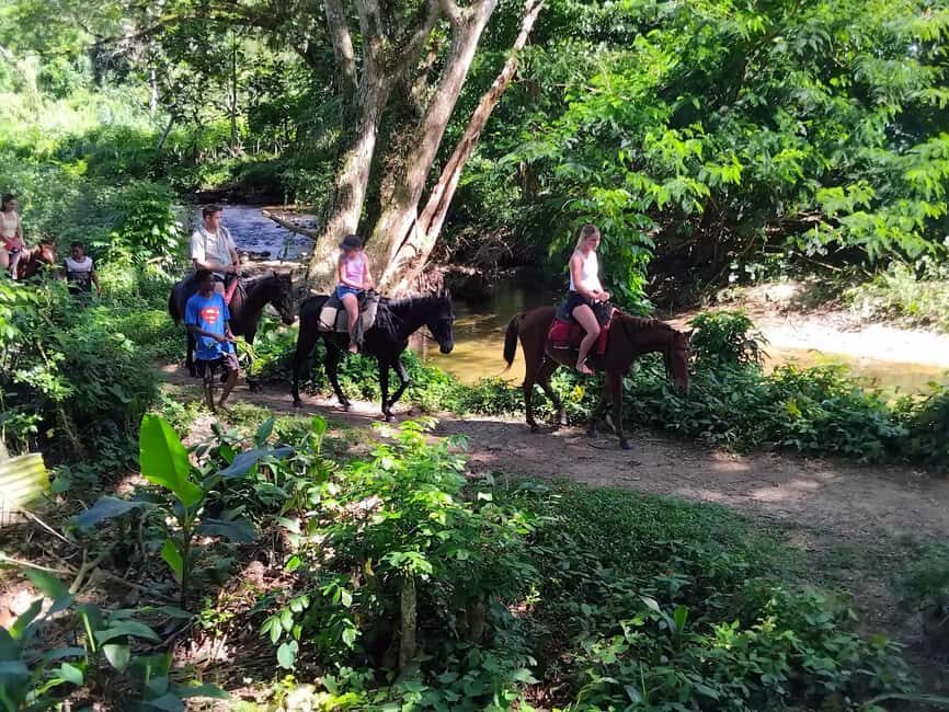 Fiji Biausevu waterfall & Village Tour - The Value for Money