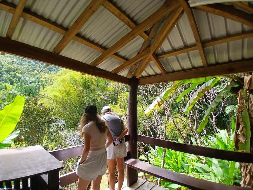 FIJI: Garden of the Sleeping Giant - A Deep Dive into the Garden of the Sleeping Giant Experience