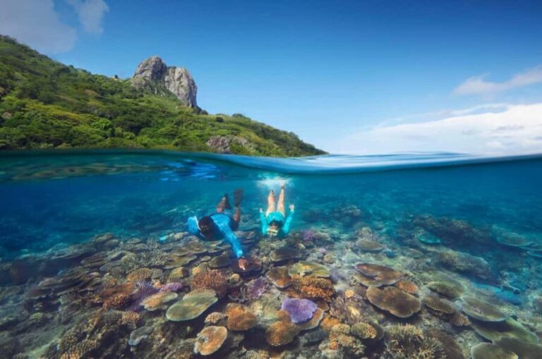 Fiji: Kuata Island Marine Conservation Experience Full Day - The Coral Regeneration Program