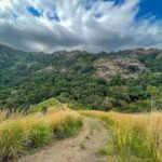 Fiji Lautoka Shore Excursions Tour - Who Will Love This Tour?