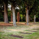 FILANDETTA PARK WINE & ART FARM: FOUNDER'S TOUR - Who Should Consider This Tour?