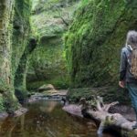 Find a hidden Glen in Scotland's woods - Key Points
