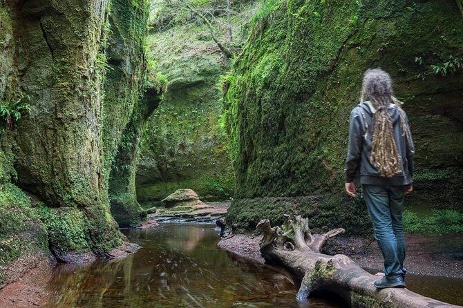 Find a hidden Glen in Scotland's woods - Key Points