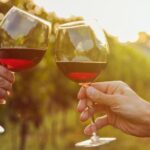 Fine Wining, Saturday - Why Choose This Tour?