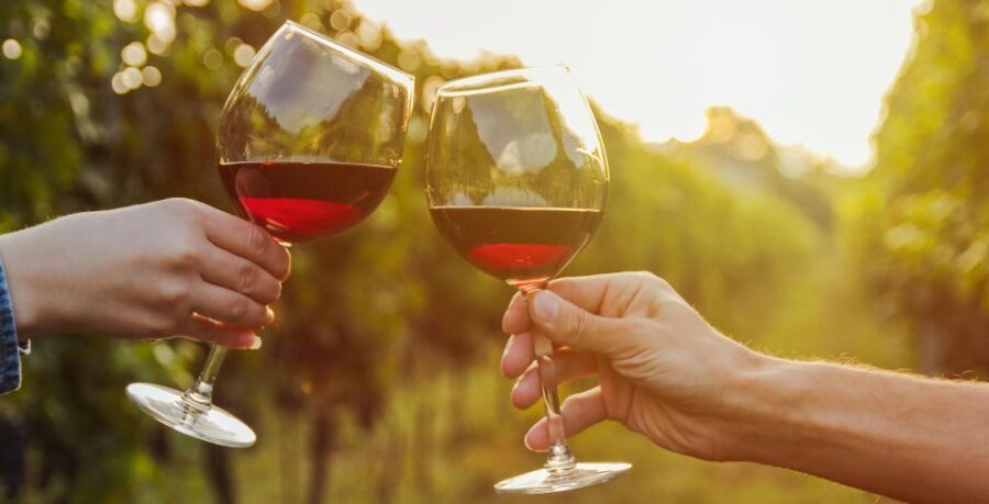 Fine Wining, Saturday - Why Choose This Tour?