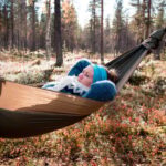 Finland Levi: Arctic Cocooning Experience in HaliPuu Forest - Is It Worth the Price?