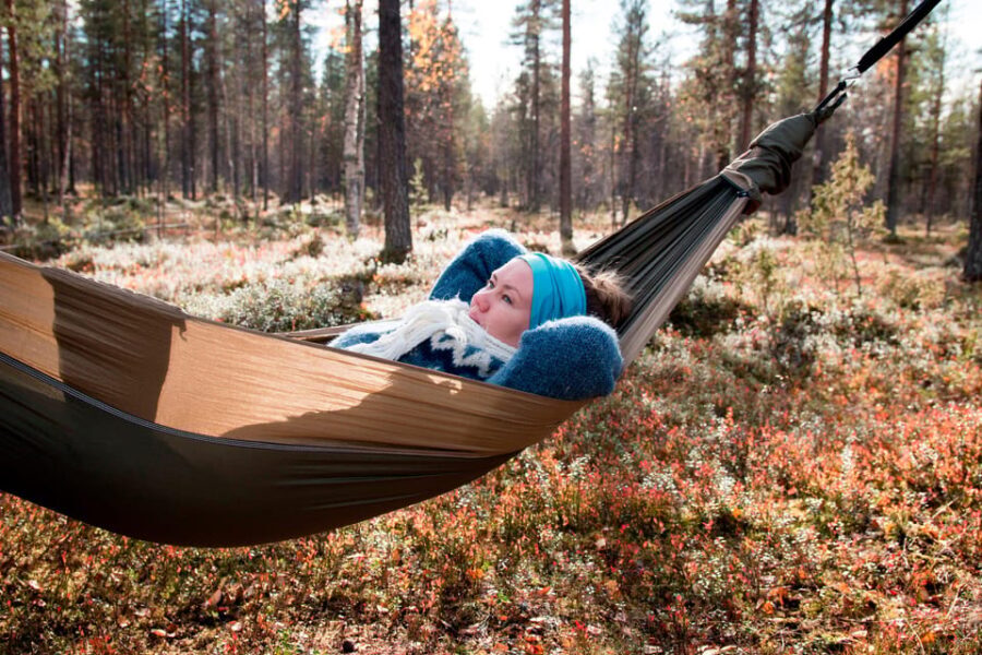 Finland Levi: Arctic Cocooning Experience in HaliPuu Forest - Is It Worth the Price?