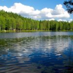 Finland: Private Tour by Car with Arabic-Speaking Guide - Authenticity and Value