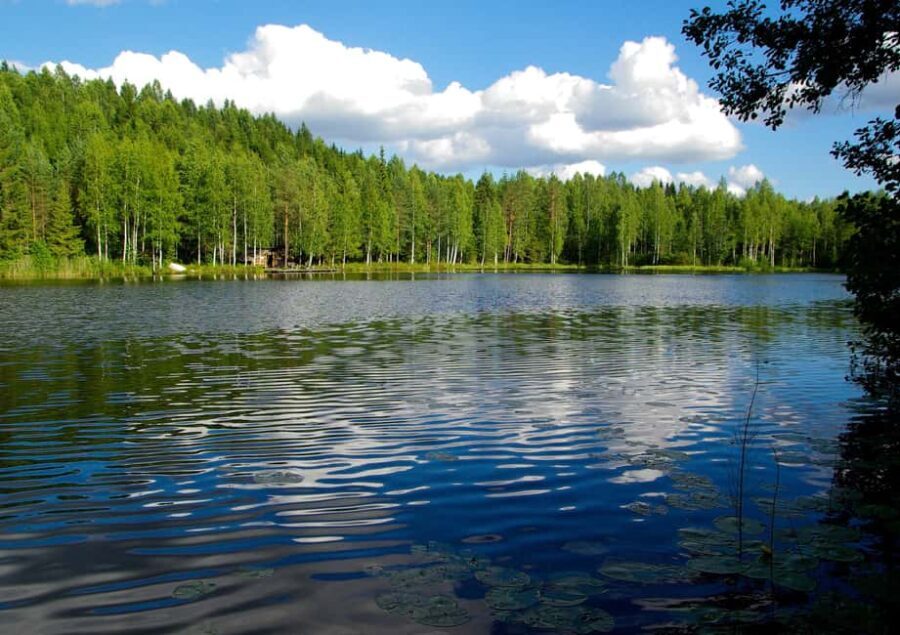 Finland: Private Tour by Car with Arabic-Speaking Guide - Authenticity and Value