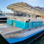 Fins Up - Dolphin & Island Sandbar Adventure in Clearwater Beach - Who Is This Tour Best For?