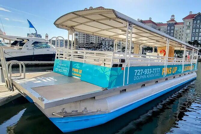 Fins Up - Dolphin & Island Sandbar Adventure in Clearwater Beach - Who Is This Tour Best For?