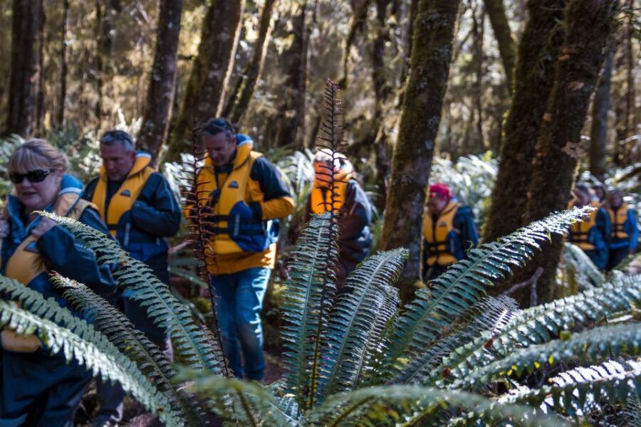 Fiordland: Jet Boat & Nature Walk Experience from Te Anau - The Sum Up