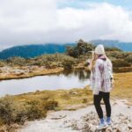 Fiordland: Routeburn Track and Key Summit Guided Day Walk - The Hike: The Routeburn Track