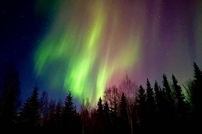 Fire & Ice: Chena Hot Springs, Ice Museum + Aurora Adventure - The Real Value: Why Choose This Tour?