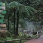 Fire Lake & Tea Factory & Pinneaple - Who Will Love This Tour?