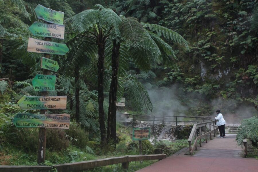 Fire Lake & Tea Factory & Pinneaple - Who Will Love This Tour?