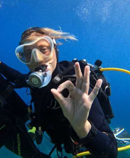 First Scuba Diving Experience in Calvi (From 8 yo) - A Detailed Look at the Experience